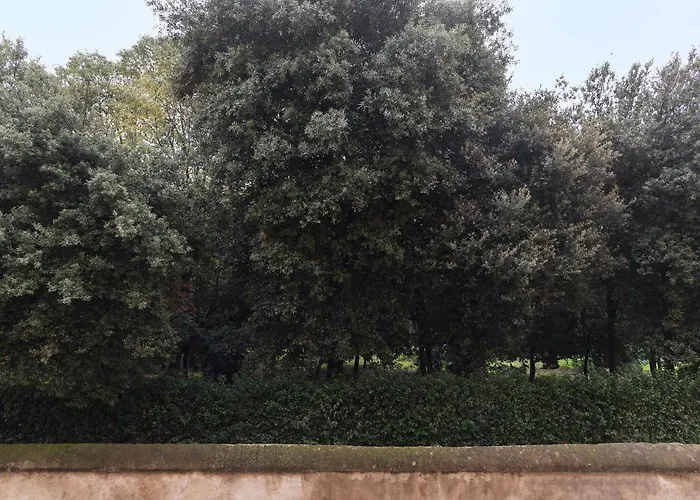 Guesthost - Ad Un Passo Da Borghese